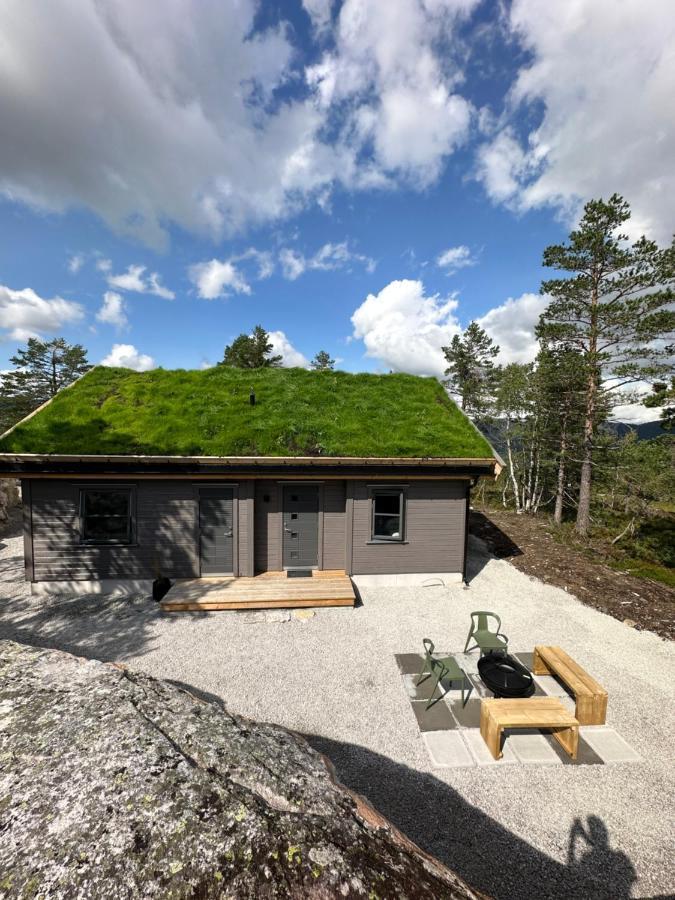 Modern Northern Lights Cabin Drangedal Экстерьер фото