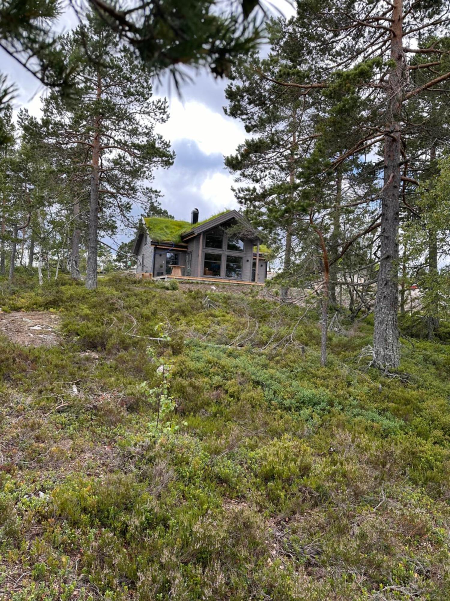 Modern Northern Lights Cabin Drangedal Экстерьер фото
