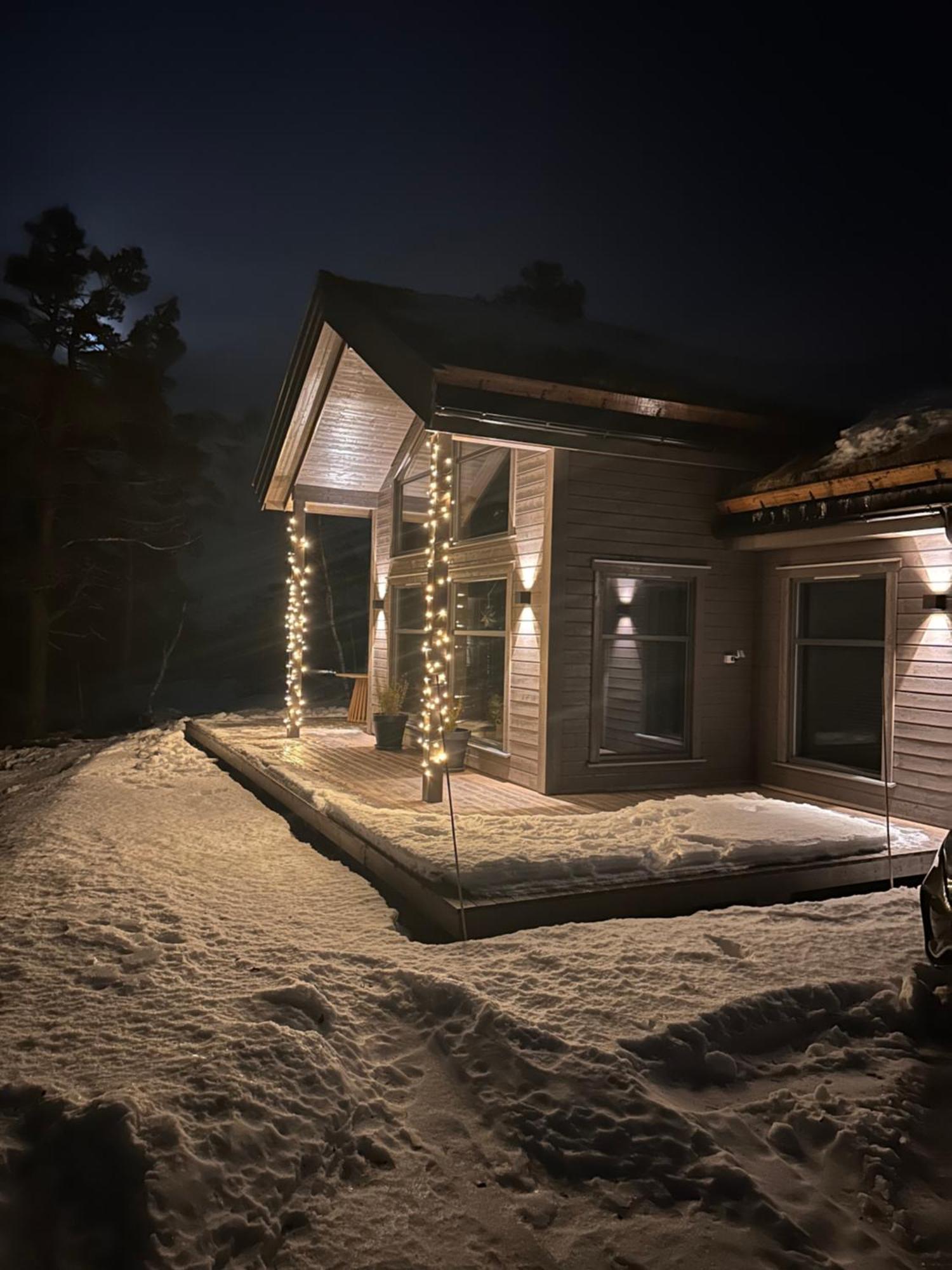 Modern Northern Lights Cabin Drangedal Экстерьер фото