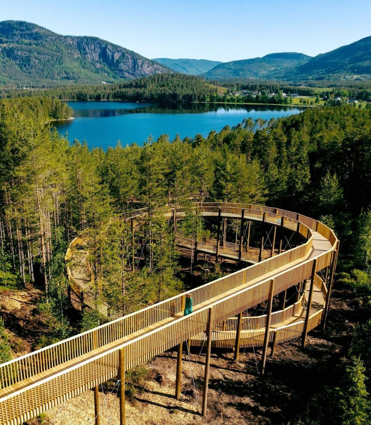 Modern Northern Lights Cabin Drangedal Экстерьер фото